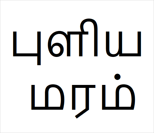 Puli1