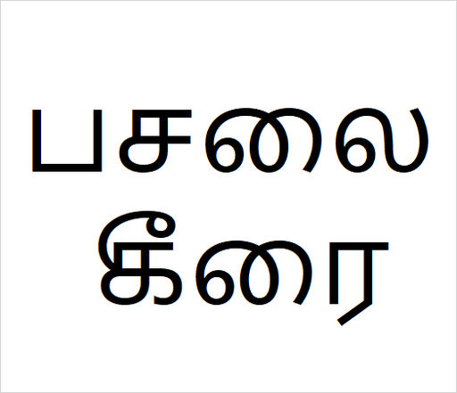 [பசலை கீரை] pasali keerai