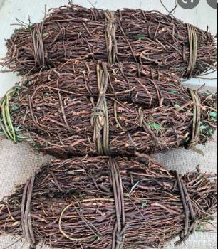 [51099016] Nannari Root