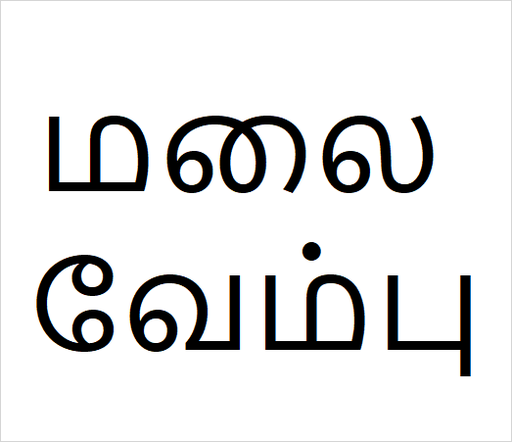 [84137912] Malai vembu Bulk